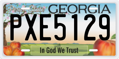 GA license plate PXE5129