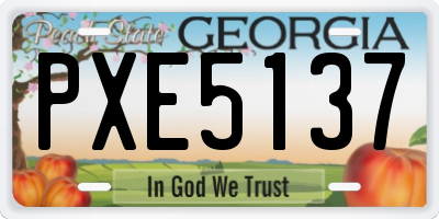 GA license plate PXE5137