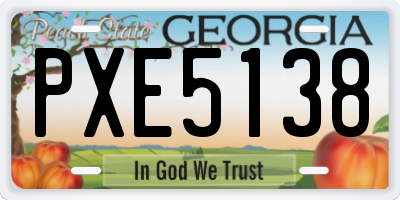 GA license plate PXE5138