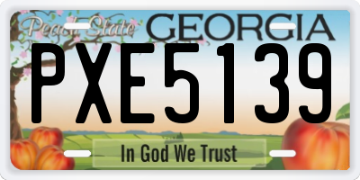 GA license plate PXE5139