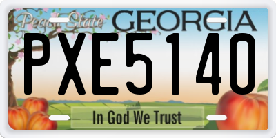 GA license plate PXE5140