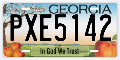 GA license plate PXE5142