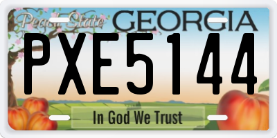 GA license plate PXE5144