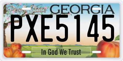 GA license plate PXE5145