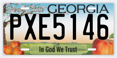 GA license plate PXE5146