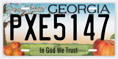 GA license plate PXE5147