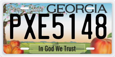 GA license plate PXE5148