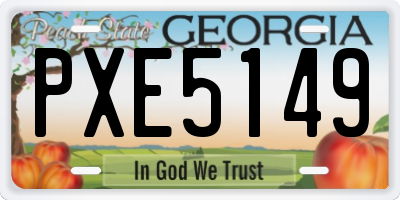 GA license plate PXE5149
