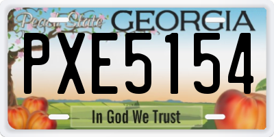 GA license plate PXE5154