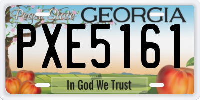 GA license plate PXE5161