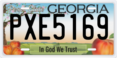 GA license plate PXE5169