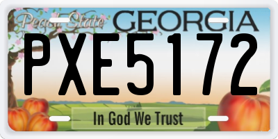 GA license plate PXE5172