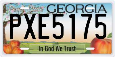GA license plate PXE5175