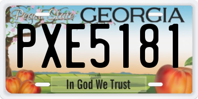 GA license plate PXE5181
