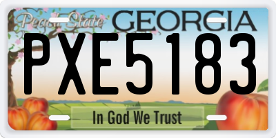 GA license plate PXE5183