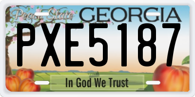 GA license plate PXE5187