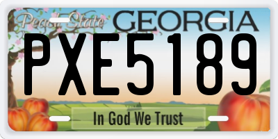 GA license plate PXE5189