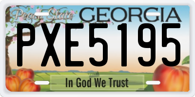 GA license plate PXE5195