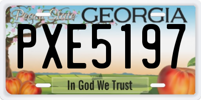 GA license plate PXE5197
