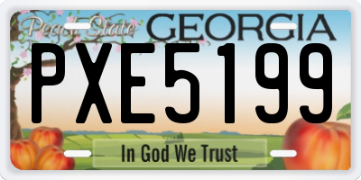 GA license plate PXE5199