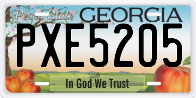 GA license plate PXE5205