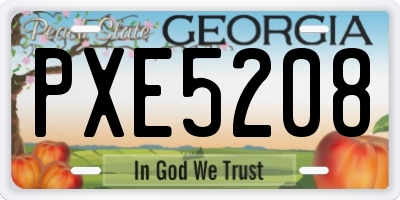 GA license plate PXE5208