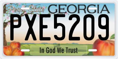 GA license plate PXE5209