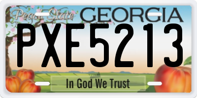 GA license plate PXE5213