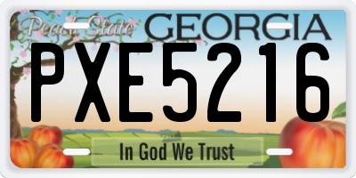 GA license plate PXE5216