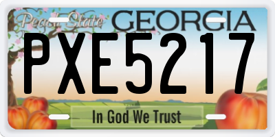 GA license plate PXE5217