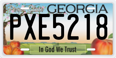GA license plate PXE5218
