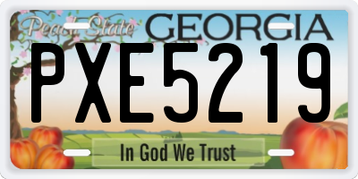 GA license plate PXE5219