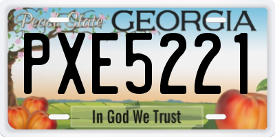 GA license plate PXE5221