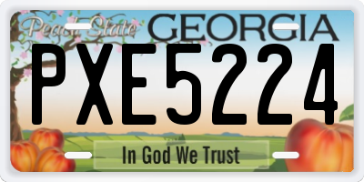 GA license plate PXE5224