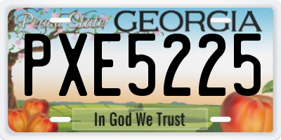 GA license plate PXE5225