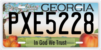 GA license plate PXE5228
