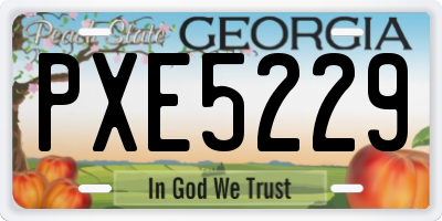 GA license plate PXE5229
