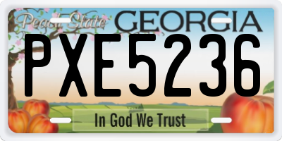 GA license plate PXE5236