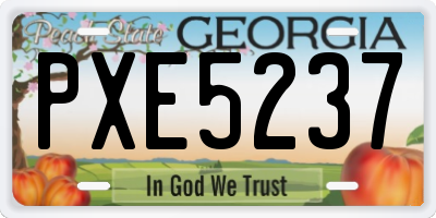 GA license plate PXE5237