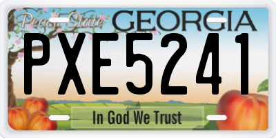 GA license plate PXE5241