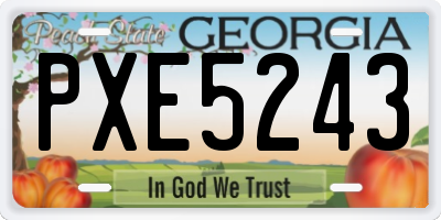 GA license plate PXE5243