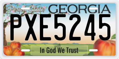 GA license plate PXE5245