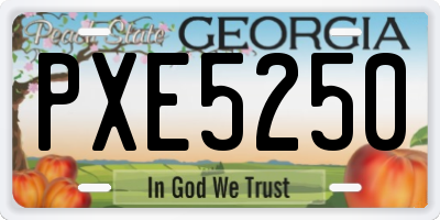 GA license plate PXE5250