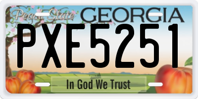 GA license plate PXE5251
