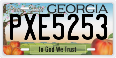 GA license plate PXE5253