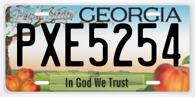 GA license plate PXE5254