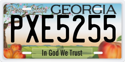 GA license plate PXE5255