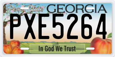 GA license plate PXE5264
