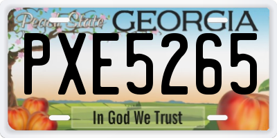 GA license plate PXE5265