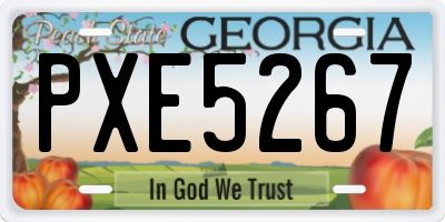 GA license plate PXE5267